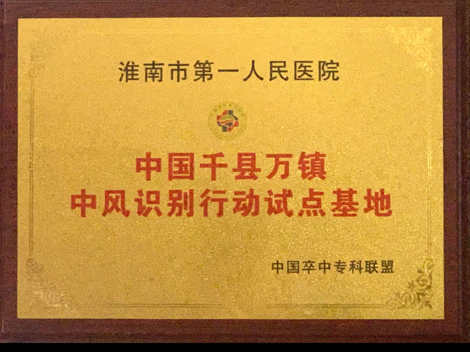 4、中國千縣萬鎮(zhèn)中風(fēng)識別行動示范基地.jpg